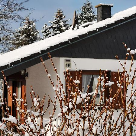 Bb19 Eifel-Ferienhaus Am Moseltal Mit Saunahaus Beuren  Exteriör bild