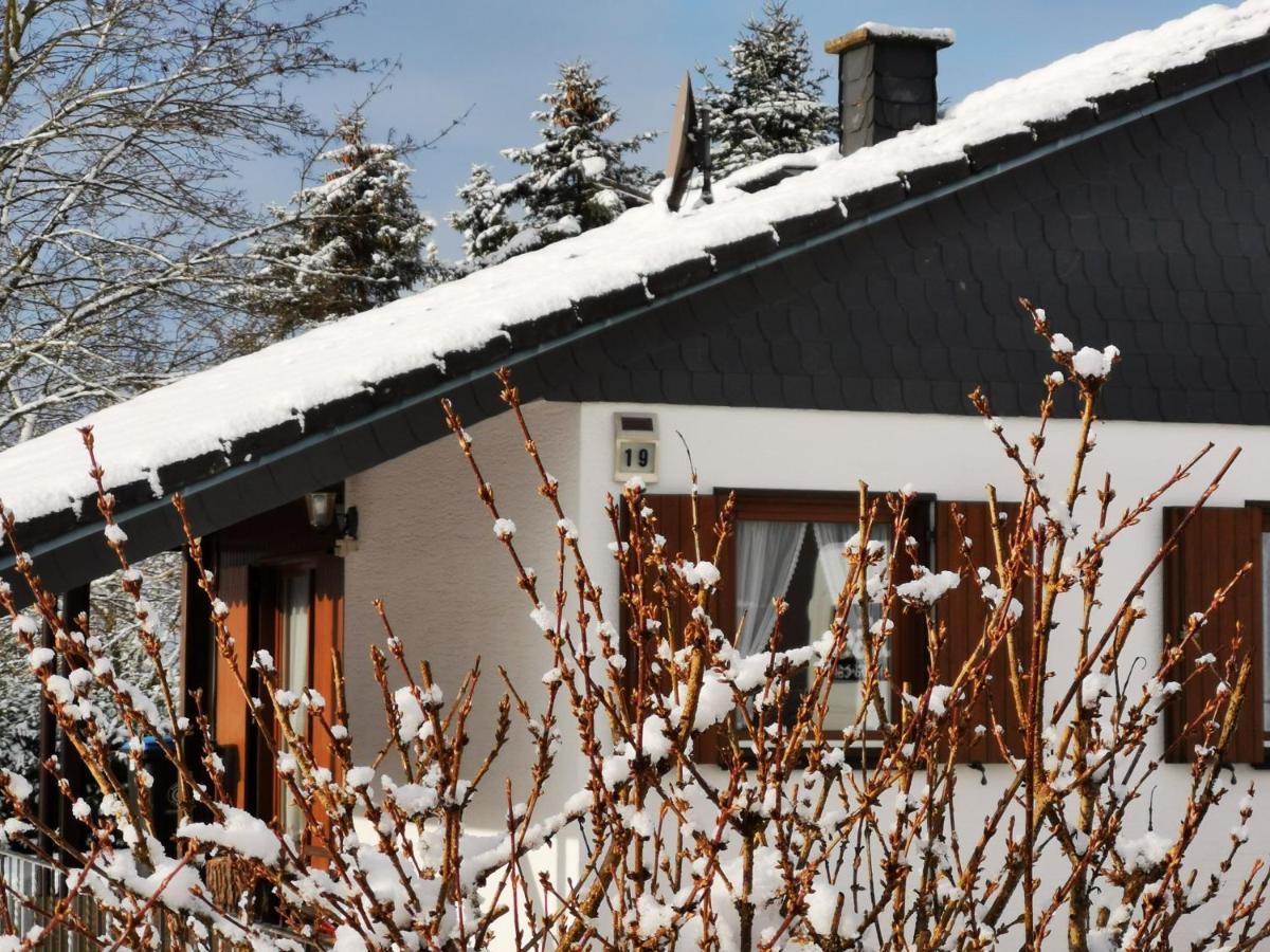 Bb19 Eifel-Ferienhaus Am Moseltal Mit Saunahaus Beuren  Exteriör bild