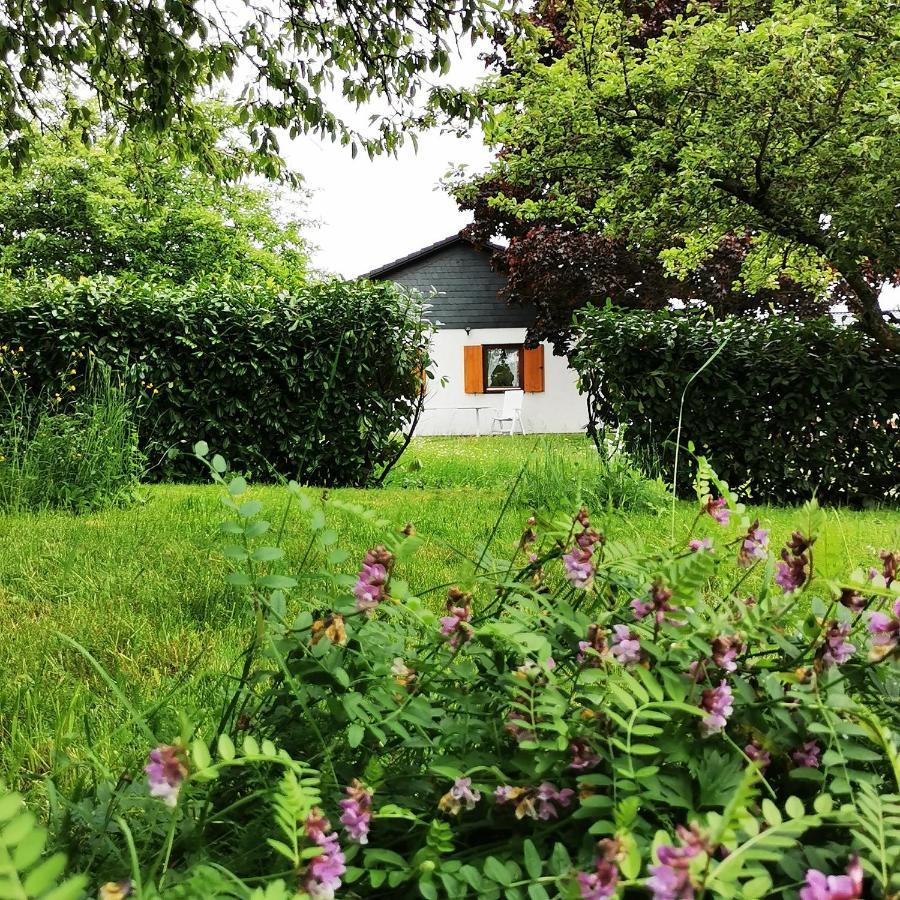 Bb19 Eifel-Ferienhaus Am Moseltal Mit Saunahaus Beuren  Exteriör bild