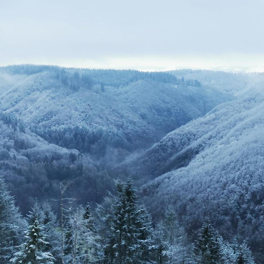 Bb19 Eifel-Ferienhaus Am Moseltal Mit Saunahaus Beuren  Exteriör bild