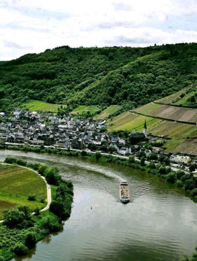 Bb19 Eifel-Ferienhaus Am Moseltal Mit Saunahaus Beuren  Exteriör bild